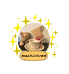 ばなばーばのbearスタンプ（個別スタンプ：11）