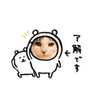 えいとのスタンプ 特別編第一弾（個別スタンプ：6）
