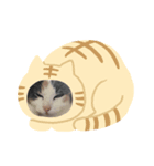 ももの生活（個別スタンプ：5）