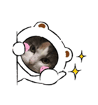 ももの生活（個別スタンプ：8）