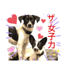 楽園と黒白（個別スタンプ：1）