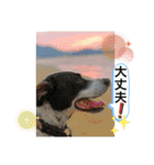 楽園と黒白（個別スタンプ：2）