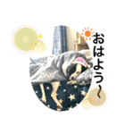 楽園と黒白（個別スタンプ：3）