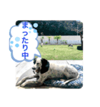 楽園と黒白（個別スタンプ：4）