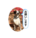 楽園と黒白（個別スタンプ：7）