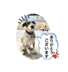 楽園と黒白（個別スタンプ：9）