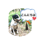 楽園と黒白（個別スタンプ：10）