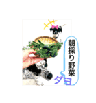 楽園と黒白（個別スタンプ：11）