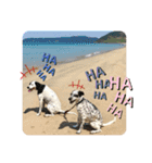 楽園と黒白（個別スタンプ：13）