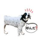楽園と黒白（個別スタンプ：14）