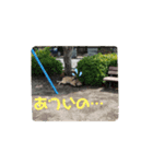 わんこは裏切らない2（個別スタンプ：3）