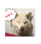 Re:コマやん（個別スタンプ：9）