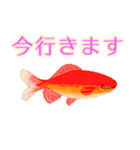 屋台はじめました（個別スタンプ：36）