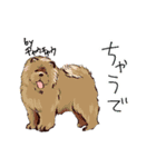 横文字が好きな動物（個別スタンプ：5）