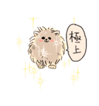 横文字が好きな動物（個別スタンプ：16）