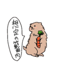 横文字が好きな動物（個別スタンプ：36）