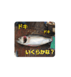磯前丸漁業スタンプ（個別スタンプ：9）