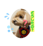 クッキーの日常"3"（個別スタンプ：3）