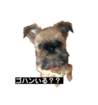 がんもザグリフォン（個別スタンプ：1）