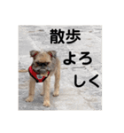 がんもザグリフォン（個別スタンプ：2）