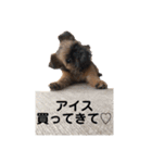 がんもザグリフォン（個別スタンプ：4）