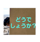 すーさんスタンプBEST（個別スタンプ：19）