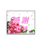 クリスチャンお気に入りの花と言葉（個別スタンプ：4）