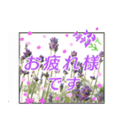 クリスチャンお気に入りの花と言葉（個別スタンプ：9）