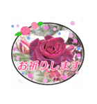 クリスチャンお気に入りの花と言葉（個別スタンプ：12）