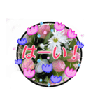 クリスチャンお気に入りの花と言葉（個別スタンプ：13）