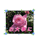 クリスチャンお気に入りの花と言葉（個別スタンプ：16）