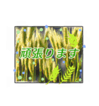 クリスチャンお気に入りの花と言葉（個別スタンプ：18）