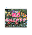 クリスチャンお気に入りの花と言葉（個別スタンプ：23）