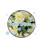 クリスチャンお気に入りの花と言葉（個別スタンプ：26）