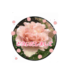 クリスチャンお気に入りの花と言葉（個別スタンプ：27）