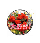 クリスチャンお気に入りの花と言葉（個別スタンプ：28）