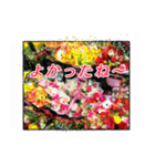 クリスチャンお気に入りの花と言葉（個別スタンプ：30）