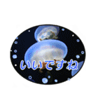 クリスチャンお気に入りの花と言葉（個別スタンプ：35）