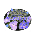 クリスチャンお気に入りの花と言葉（個別スタンプ：37）