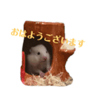たなかとご挨拶（個別スタンプ：2）