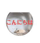 たなかとご挨拶（個別スタンプ：3）