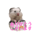 たなかとご挨拶（個別スタンプ：4）