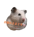 たなかとご挨拶（個別スタンプ：5）