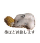 たなかとご挨拶（個別スタンプ：7）