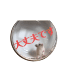 たなかとご挨拶（個別スタンプ：12）