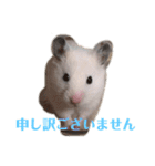 たなかとご挨拶（個別スタンプ：13）