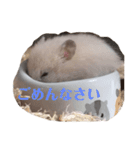 たなかとご挨拶（個別スタンプ：15）