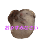 たなかとご挨拶（個別スタンプ：16）