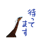 あにまるzoo and aquarium（個別スタンプ：4）
