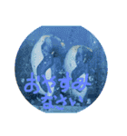 あにまるzoo and aquarium（個別スタンプ：5）